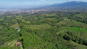 Proyecto en Goicoechea logra capturar hasta cinco veces más carbono del que genera una empresa tecnológica