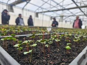 Día de la Tierra, una fecha clave para reafirmar el compromiso con la sostenibilidad
