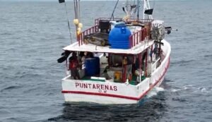 Estudio revela incumplimiento sistemático de normas pesqueras en la región de Osa