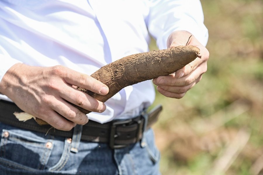 De la parcela a la expansión regional: La historia de éxito de un productor costarricense gracias al programa Tierra Fértil