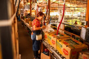 Fresh Del Monte completa adquisición histórica que reunifica la marca Del Monte® tras casi 40 años