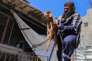 Volver a empezar en la Franja de Gaza