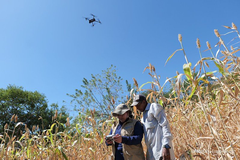 Naciones Unidas: América Latina y el Caribe enfrenta mayor riesgo de inseguridad alimentaria por El Niño
