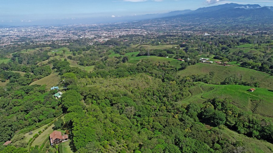 Finca Narnia de Grupo CMA destaca en monitoreo de aves del Valle Central y fortalece la conservación urbana