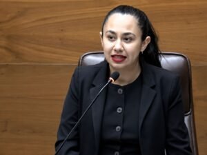 Joselyn Sáenz ante avance de proyecto de Crucitas: No les importa San Carlos, les importa la plata
