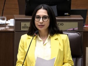 Diputada del Frente Amplio insta a llevar a las calles discusión sobre “privatización” del sistema eléctrico 