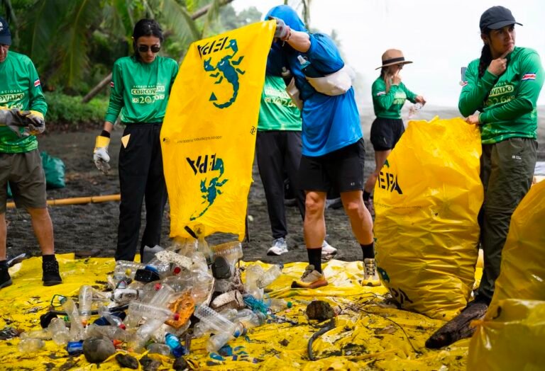 250 voluntarios recolectan 1,6 toneladas de residuos en Corcovado
