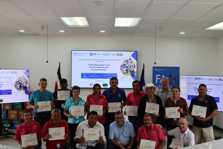 Personas feriantes fortalecen sus conocimientos en derechos laborales para potenciar su protección y bienestar