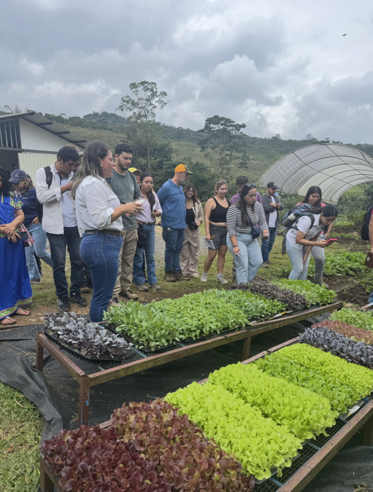 Empresas podrán optar por hasta ₡15 millones en nueva convocatoria de Activa-CATIE