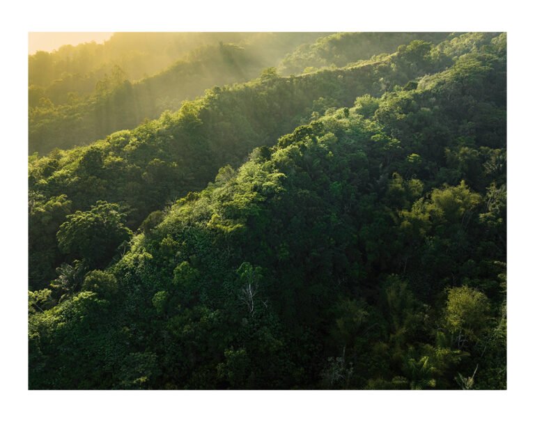 Energía limpia, impacto real: el camino hacia los máximos estándares ambientales