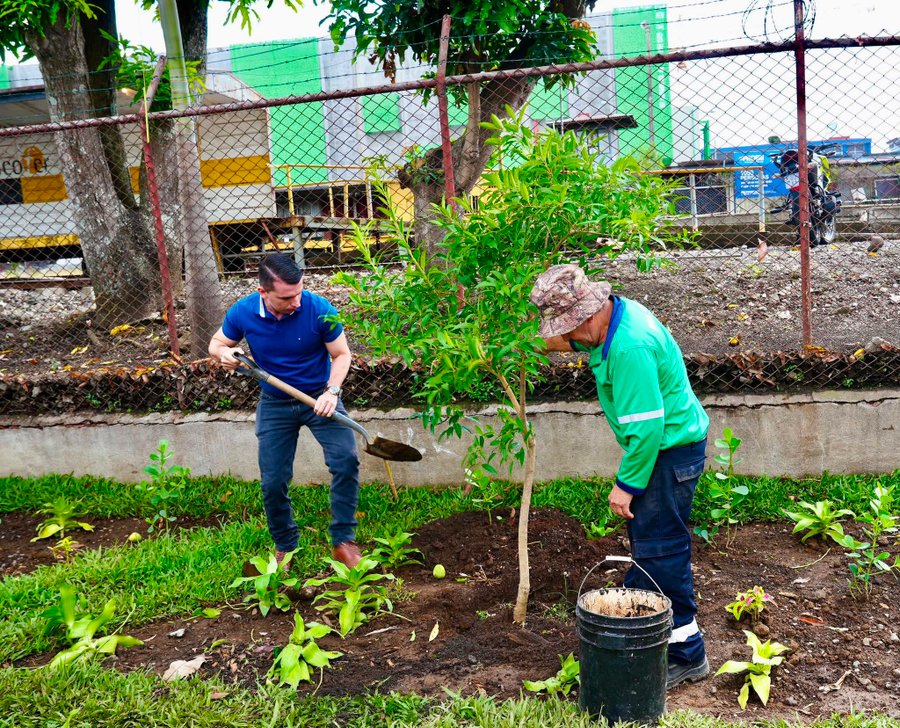 Municipalidad de San José intensifica reforestación con la m