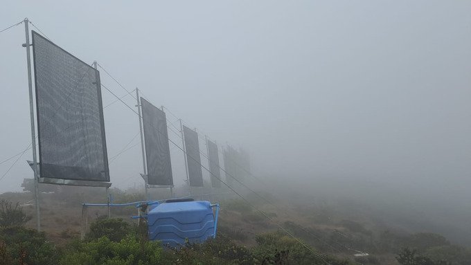 Atrapar la niebla para generar agua