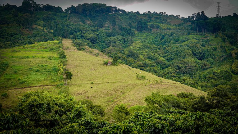 Proyecto solar La Barranquilla reforzará matriz energética ante el fenómeno de El Niño
