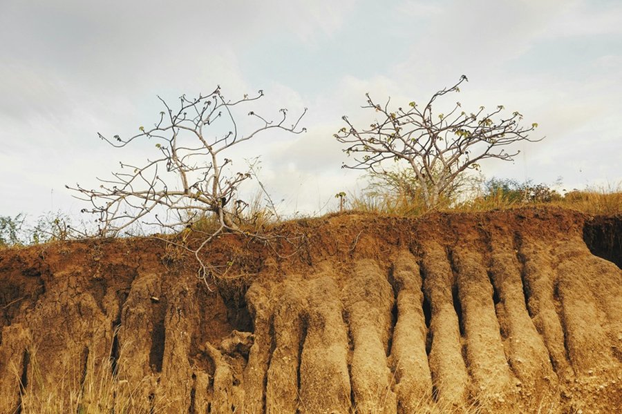 Fenómeno de El Niño amenaza a Costa Rica con un año más cálido y seco