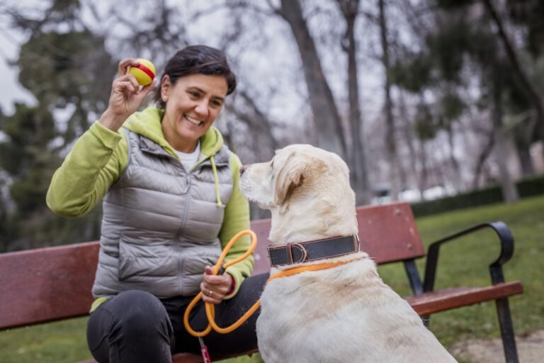 El vínculo con los perros impulsa el bienestar de las personas dentro y fuera del hogar