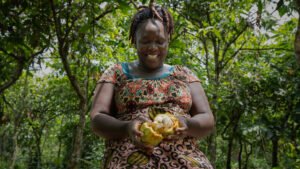 Más sombra para más cacao en Côte d’Ivoire
