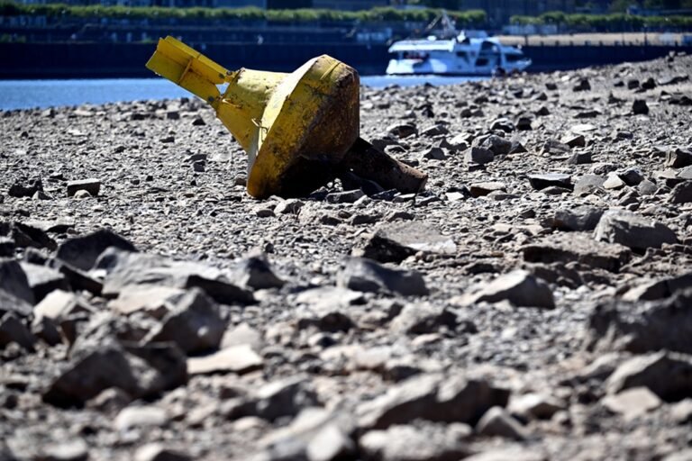 Caudal del Rin alcanza mínimo histórico a su paso por Colonia