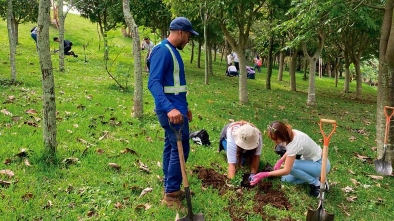 Hacienda Barvak contribuye a la reforestación en Barva de Heredia con siembra de 10.000 árboles