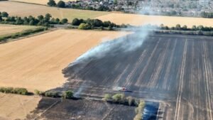 Reino Unido: la sequía por las altas temperaturas encarece los alimentos