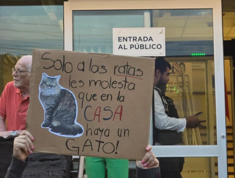 San Ramón se suma a manifestaciones en defensa del Poder Judicial en un ambiente de celebración democrática