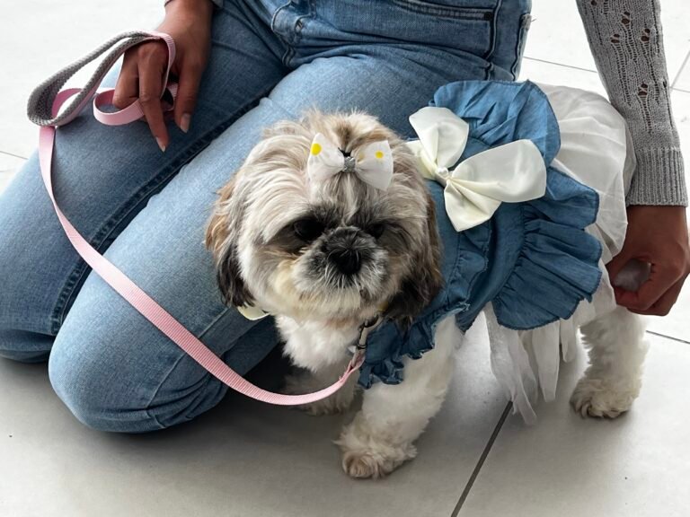 Feria de mascotas gratuita y abierta al público para promover la tenencia responsable