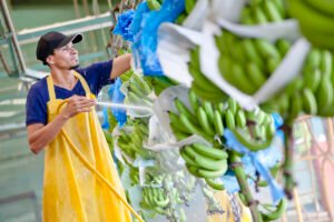 Exportaciones costarricenses superan los $15 mil millones con el impulso del sector agrícola y alimentario