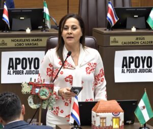 Murillo: Quien sale con un farol a exigir rendición de cuentas al Gobierno está honrando a la patria