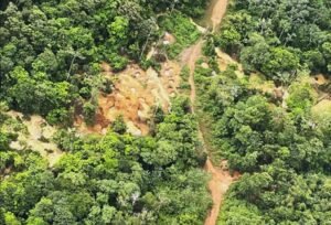 Minería china en Nicaragua implica un costo para Costa Rica, advierte embajada de Estados Unidos
